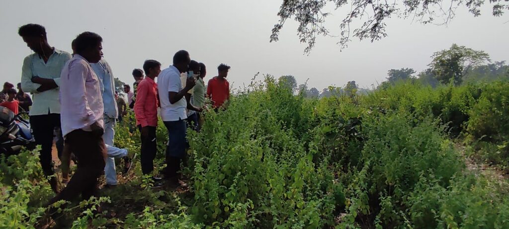 मुलमुला क्षेत्र मिले सिर कटी लाश क्षेत्र में फैला सनसनी