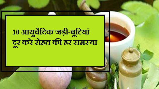 ये 10 आयुर्वेदिक जड़ी-बूटियां, दूर करेंगी सेहत की हर समस्या