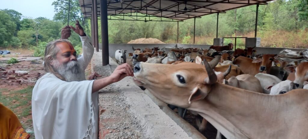 अत्यंत सुरम्य वादियों के बीच स्थित है गौशाला-महंत रामसुंदर दास