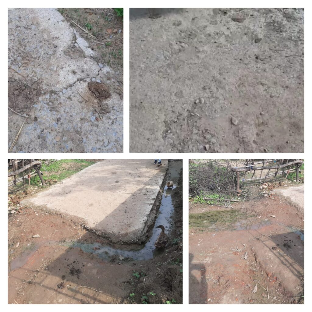 भ्रष्टाचार की भेंट चढ़ी सीसी रोड 3 माह में ही दिख रही गिट्टी और गड्ढे रोड में ग्राम पंचायत कुकुरर्दीकेरा के आश्रित गांव हरदी