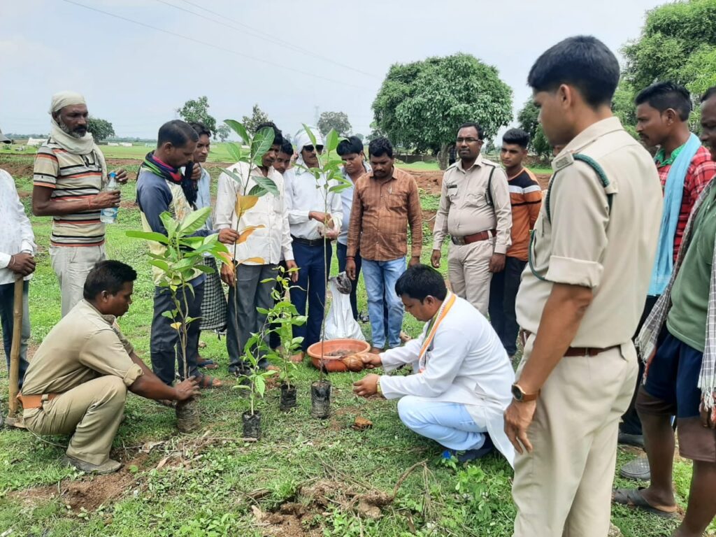 चिल्हाटी वन सीट बाल पद्धति द्वारा वृक्षारोपण किया गया