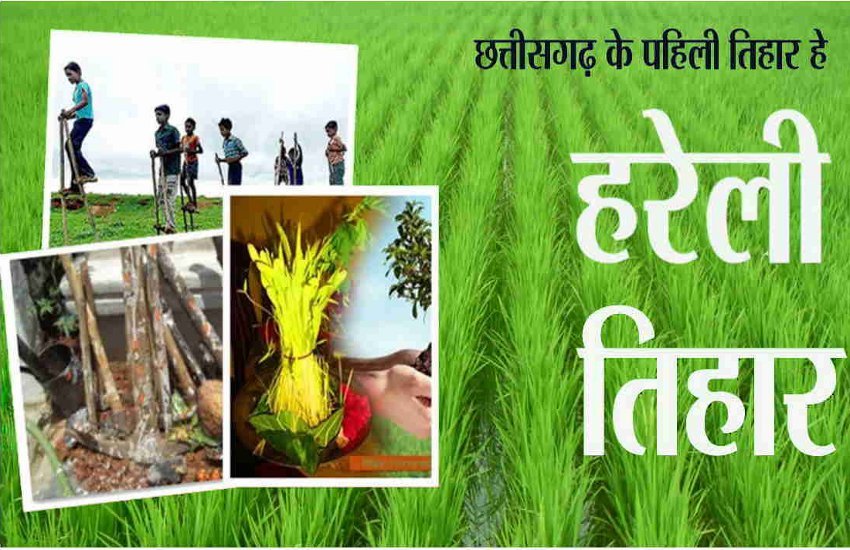 रायपुर : 28 जुलाई हरेली तिहार के दिन स्कूलों में आयोजित होगी गेड़ी नृत्य एवं गेड़ी प्रतियोगिता