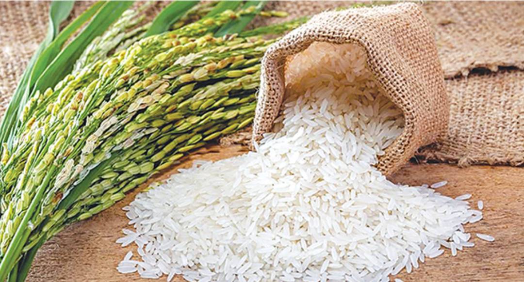 पीडीएस के अंतर्गत प्रचलित राशनकार्डों में दर्ज सभी सदस्यों का ई-केवायसी अनिवार्य
